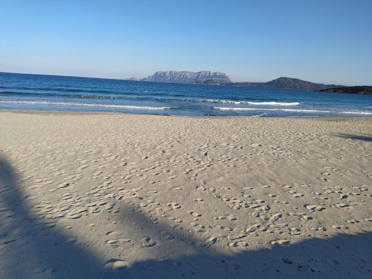 Antica Isola Bed & Breakfast Olbia Luaran gambar