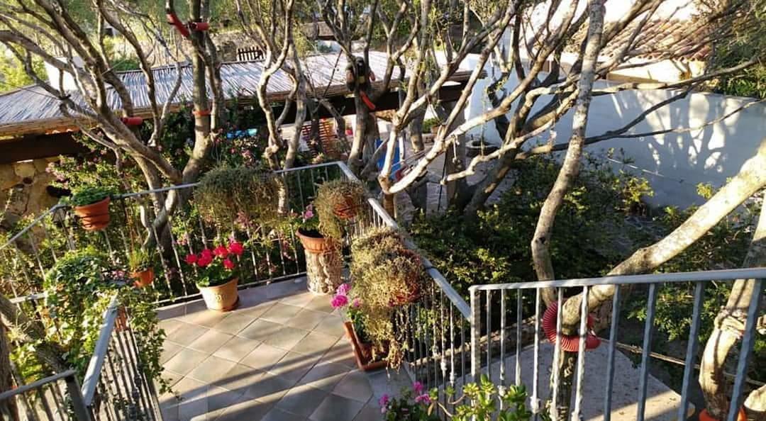 Antica Isola Bed & Breakfast Olbia Luaran gambar